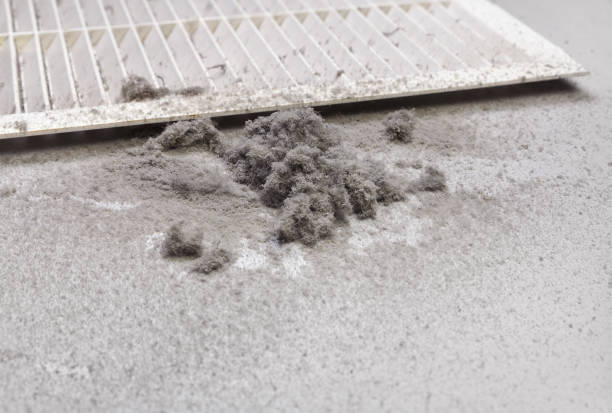 Best Affordable Air Duct Cleaning  in Lifornia Polytechnic State University, CA